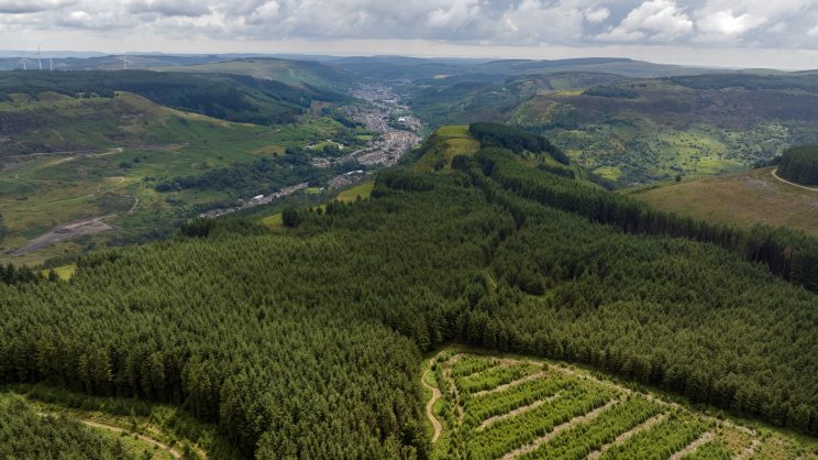 Voluntary carbon markets