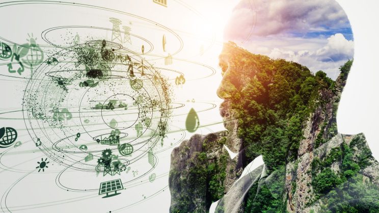 Developing skills for a just transition