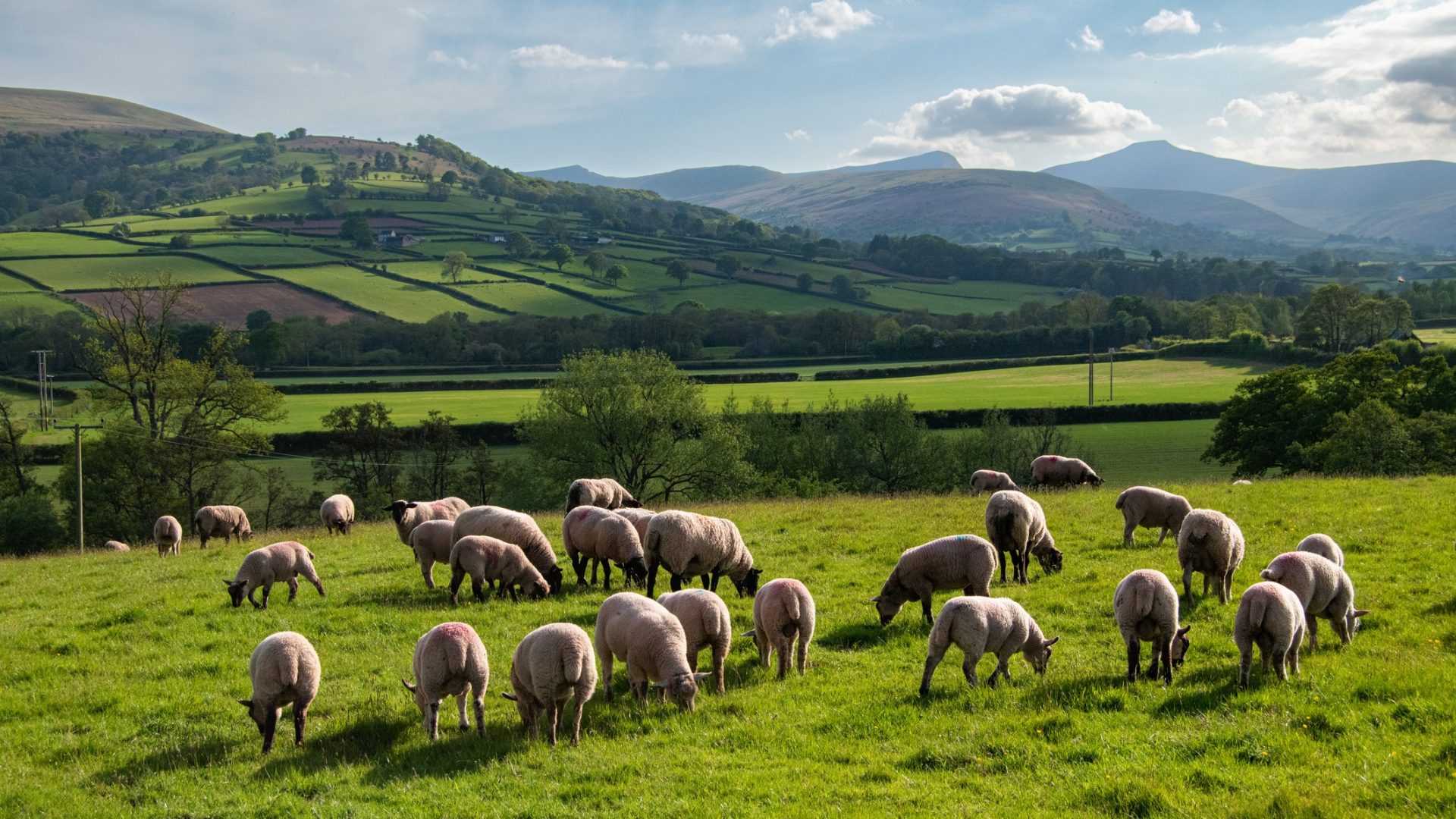 What does the Welsh health and social care system look like? - Wales ...