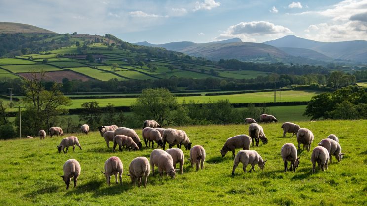 How could Wales feed itself in 2035?
