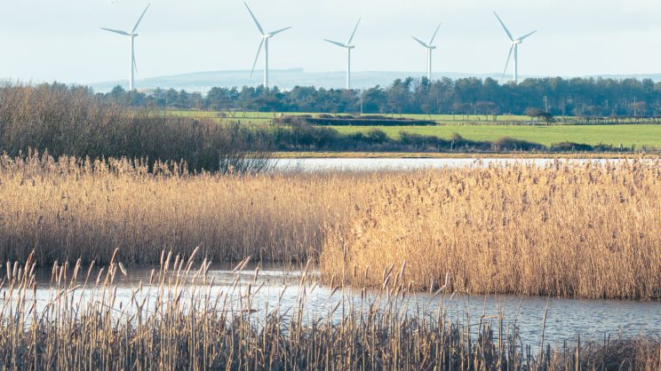 Building prosperous local economies through a just transition